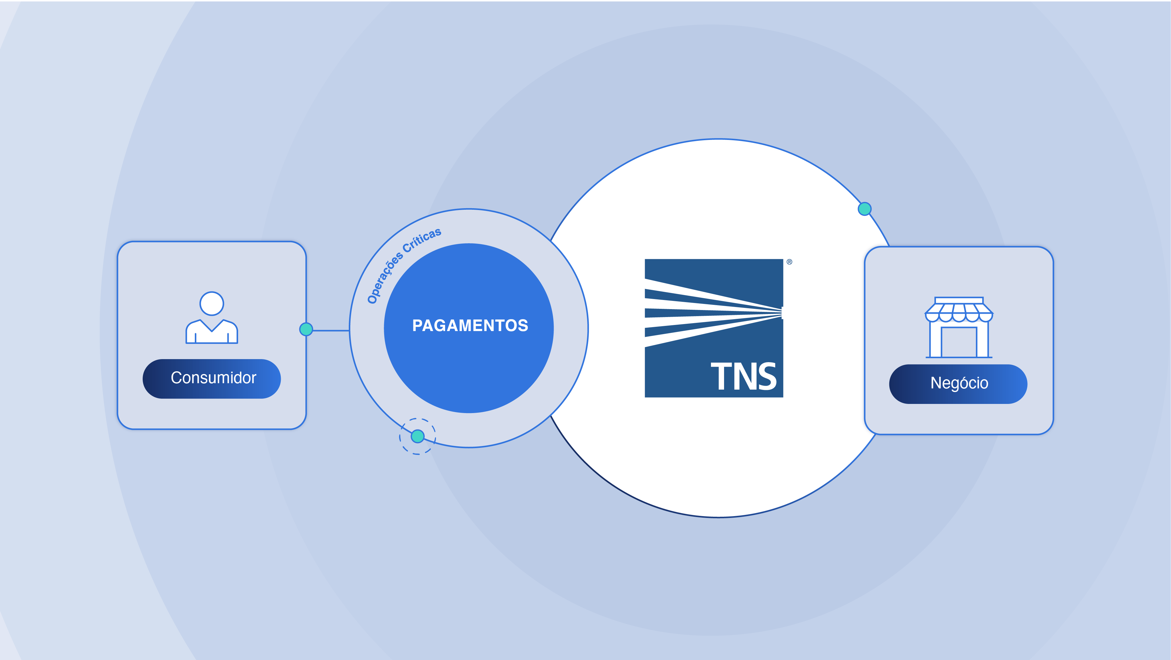info-tns-8